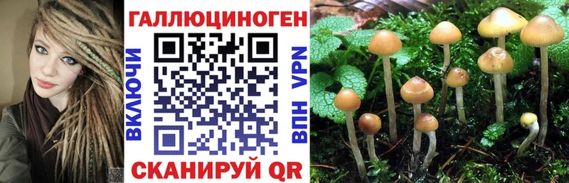 Галлюциногенные грибы Cubensis  Купить закладки  Горнозаводск 